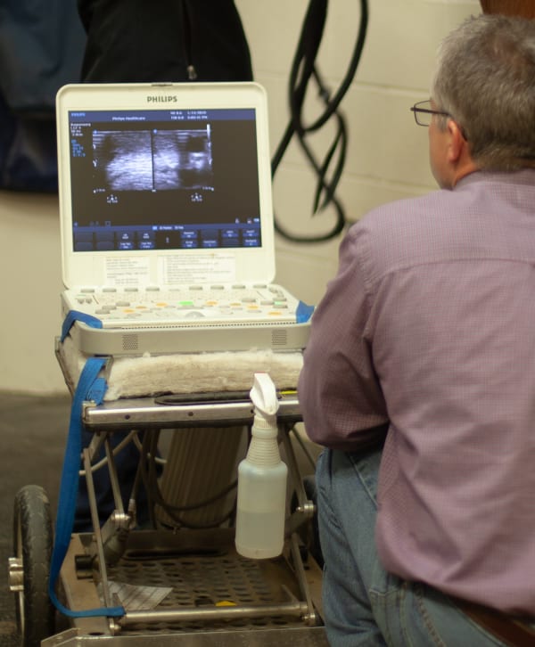 Diagnostics