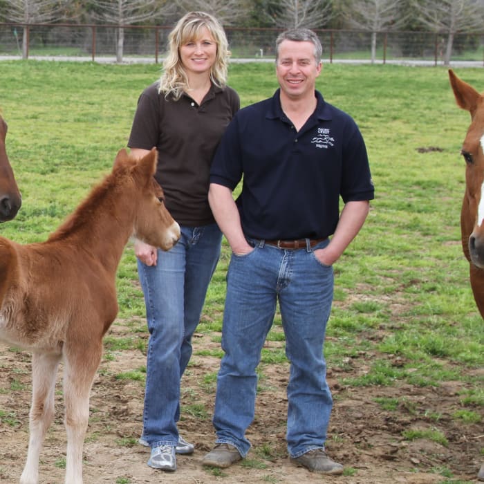 Pacific Crest Equine in San Joaquin Valley