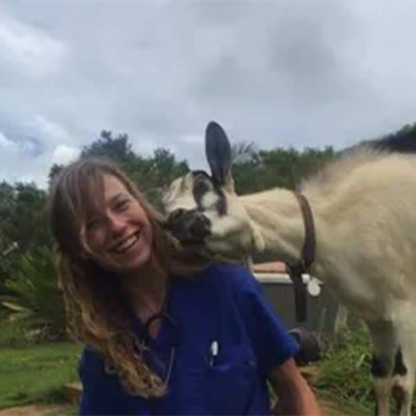 Dr. Andria Lessler, San Joaquin Valley Equine Veterinarian